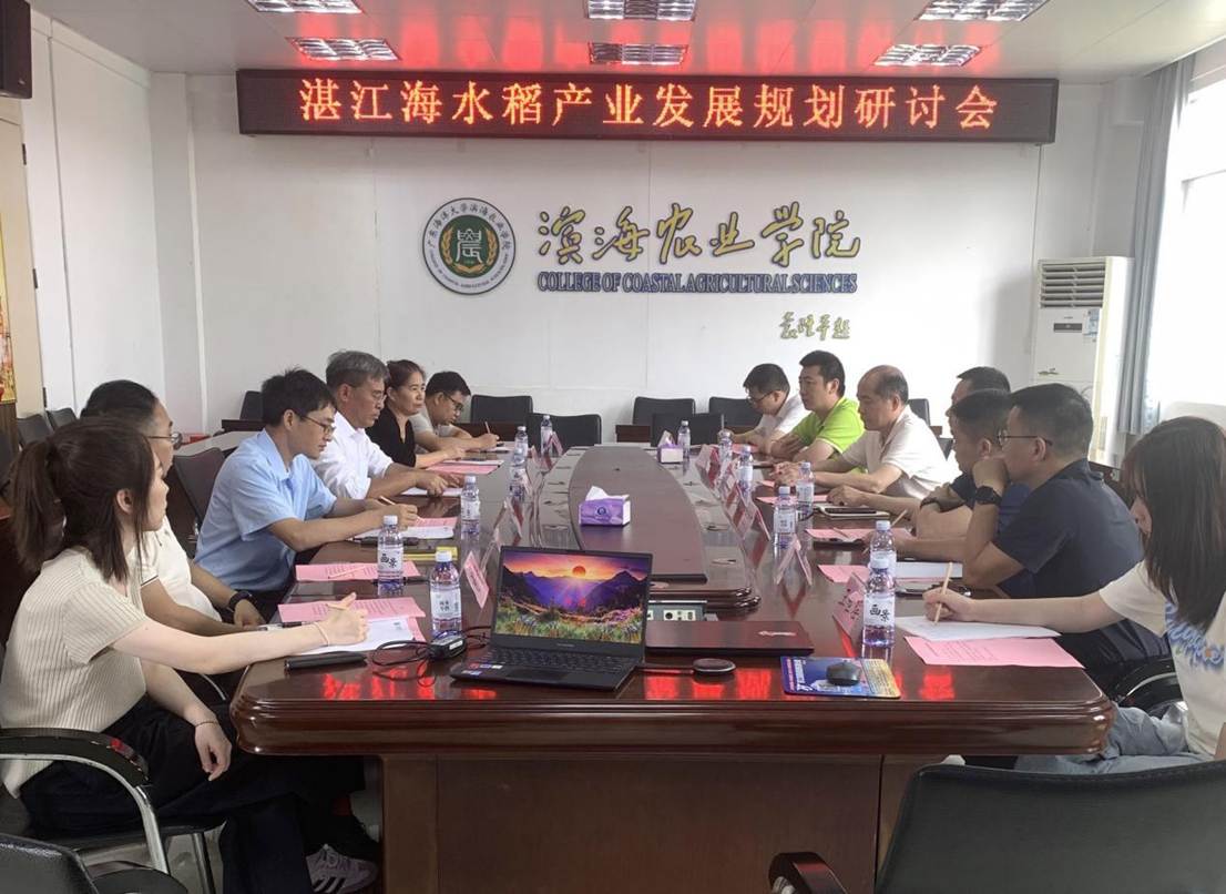 会议现现场照片